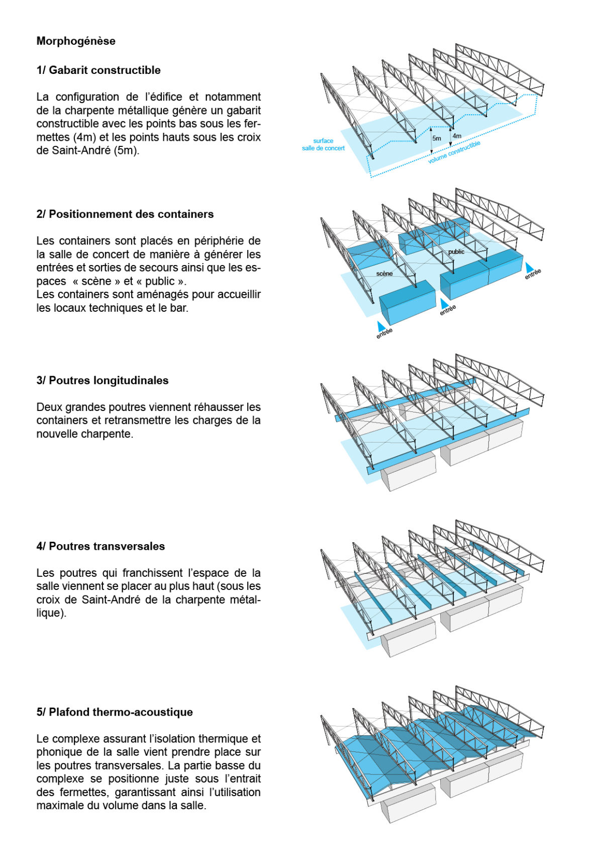 NA_GZ_morphogénèse