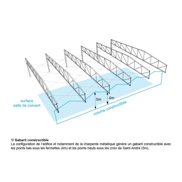 NA_GZ_morphogénèse_2026_