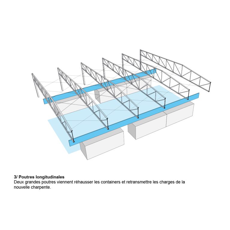 NA_GZ_morphogénèse_2026_3