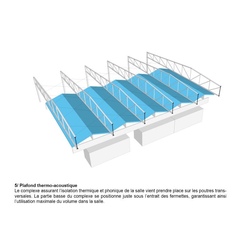 NA_GZ_morphogénèse_2026_5