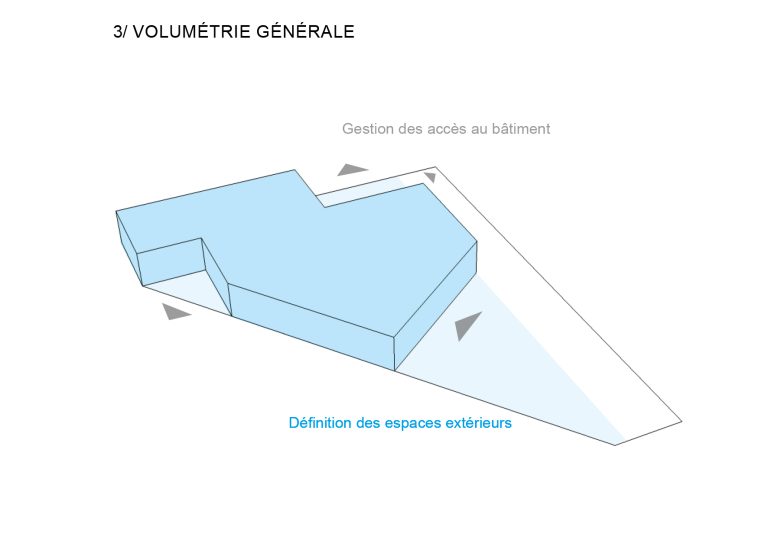 morphogénèse3
