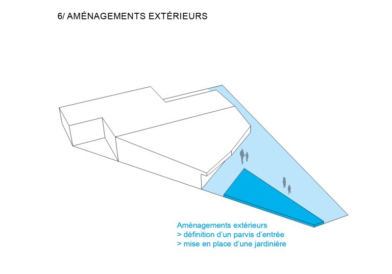 morphogénèse6