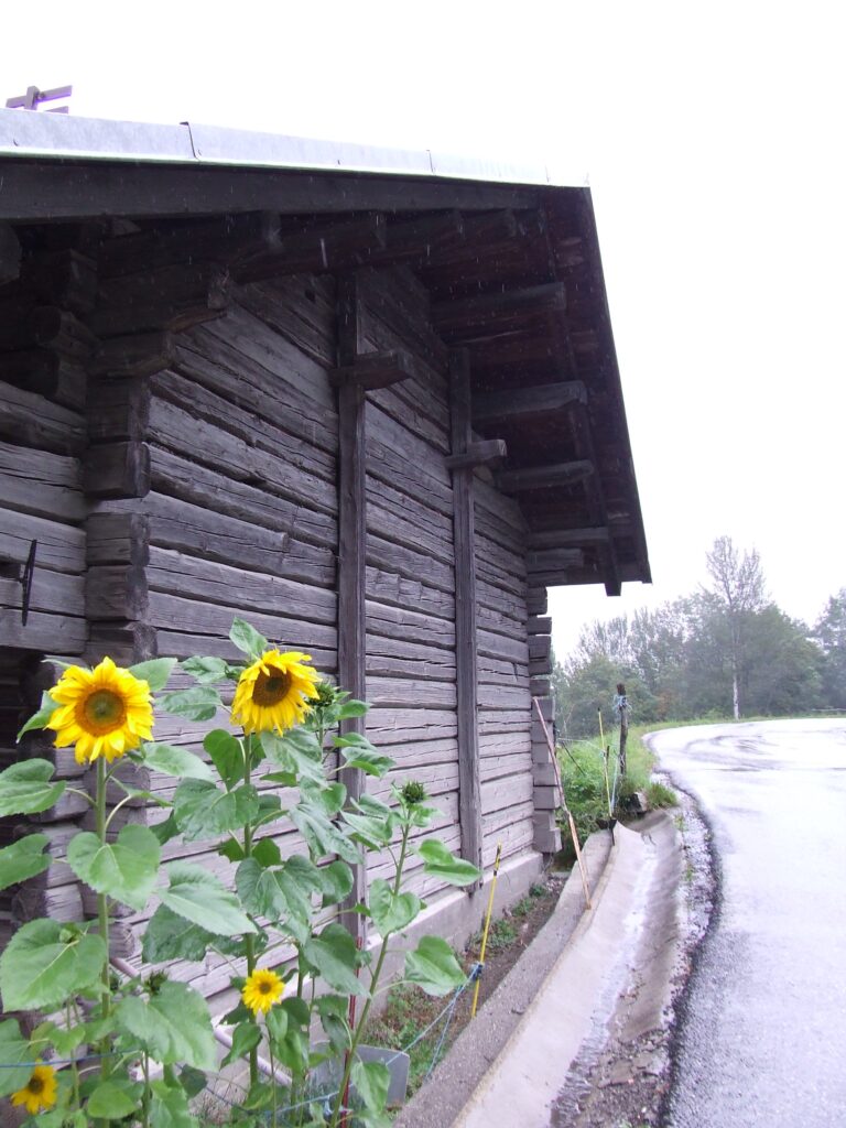 DSCF9248