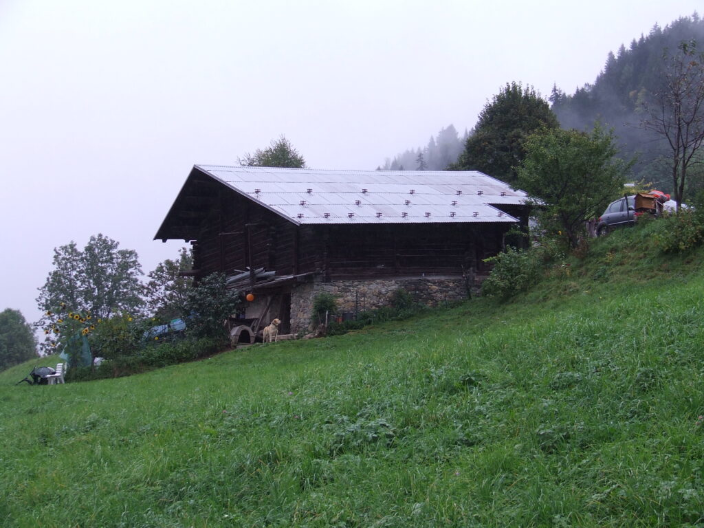 DSCF9249